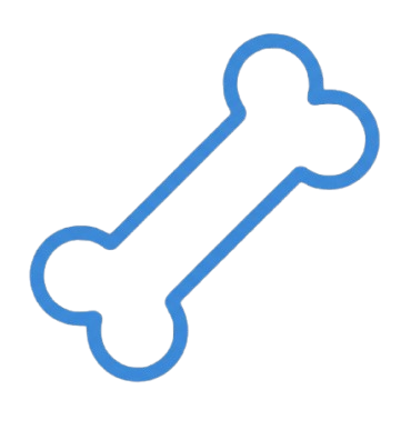 Bone Health Icon